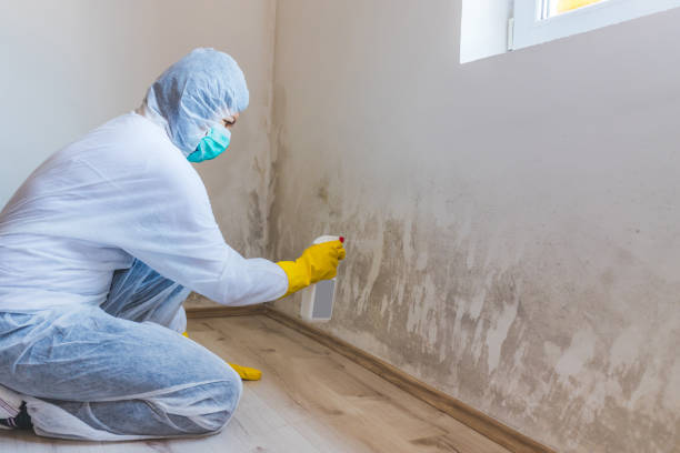 Black mold inspection in Ocean Grove