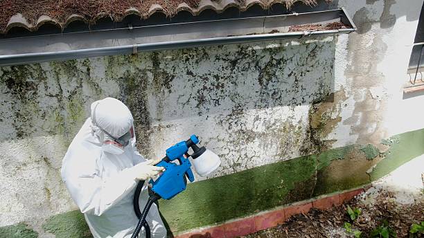 Mold Removal service in Ocean Grove